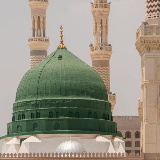 pexels-yasirgurbuz-11259857 pexels-yasirgurbuz-11259857